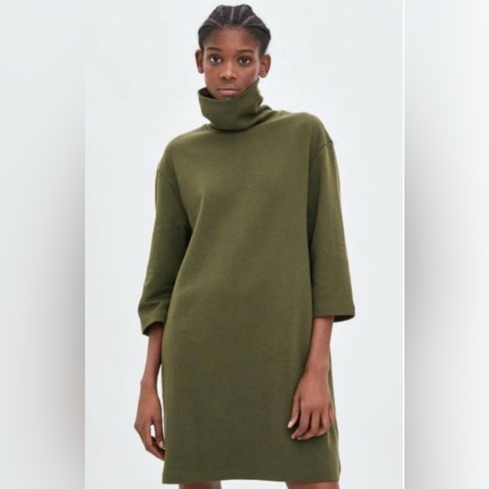Zara Turtleneck Sweater Dress
